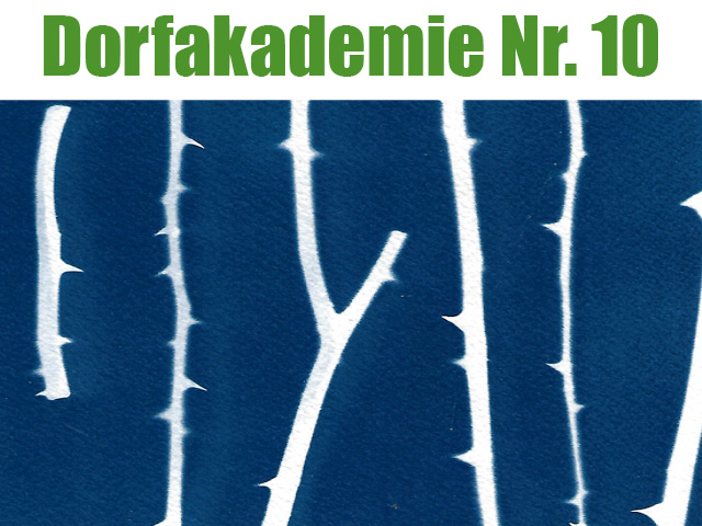 Dorfakademie Nr. 10 Cyanotypie mit Stefanie