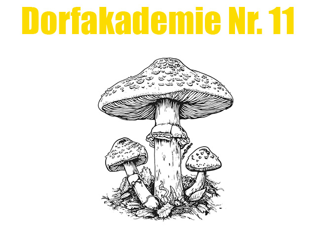 Dorfakademie Nr.11 Pilzwanderung mit Stefanie