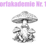 Dorfakademie Nr.12 Pilzwanderung mit Stefanie