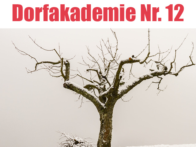 Dorfakademie Nr.12  Obstbaumpflege, Motorsägenarbeit mit Dirk