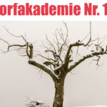 Dorfakademie Nr.13 Obstbaumpflege, Motorsägenarbeit mit Dirk