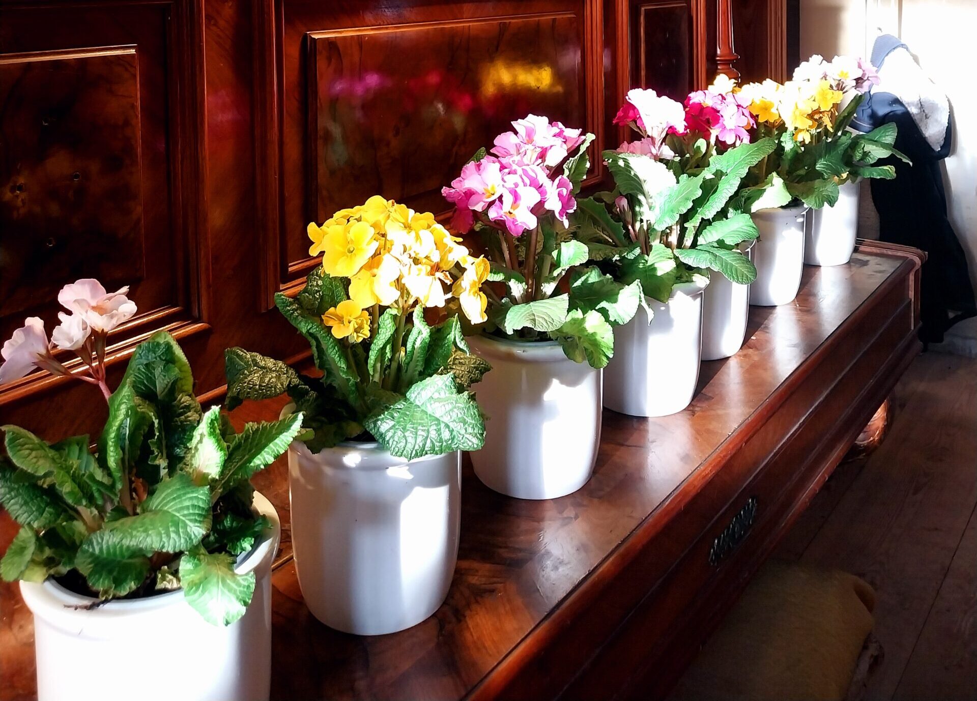 Frühlingsbrunch mit Dorle