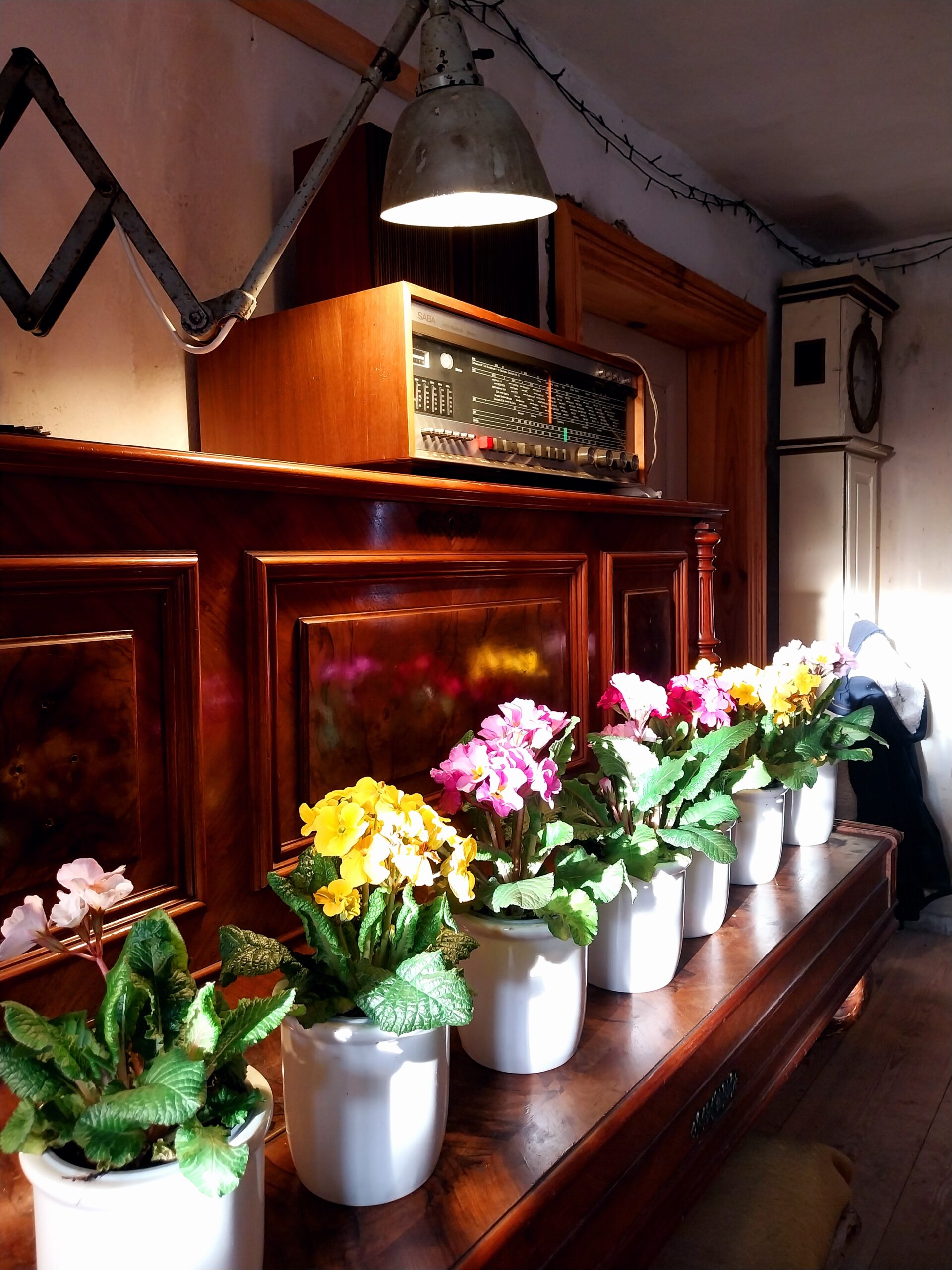 Frühlingsbrunch mit Dorle