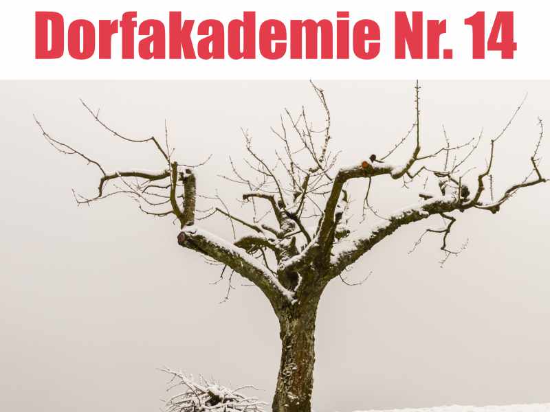 Dorfakademie Nr.14  Obstbaumpflege, Motorsägenarbeit mit Dirk