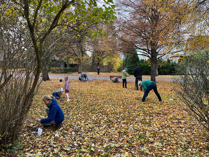 Mach Mit - Krokusse pflanzen auf dem Dorfplatz