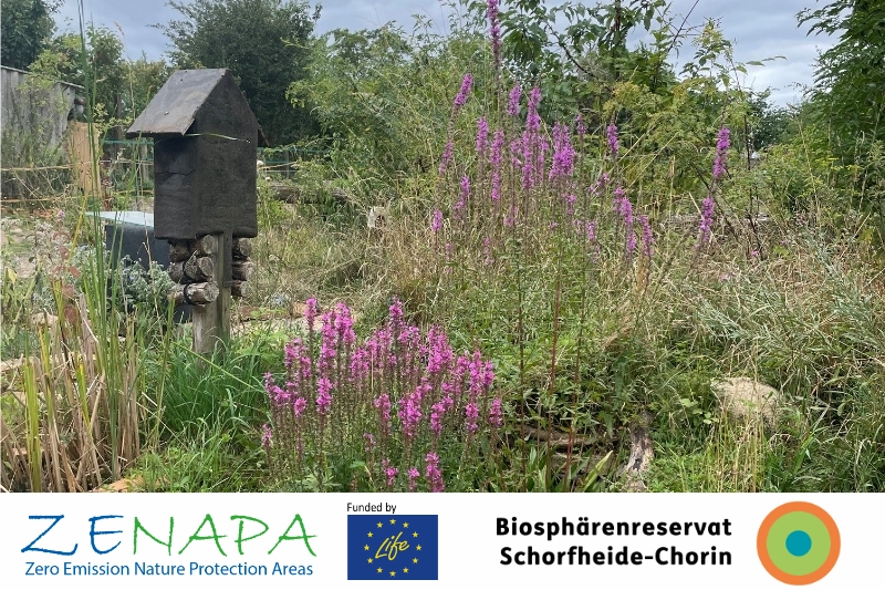 „Naturnahes Gärtnern – Klimaschutz im eigenen Garten“